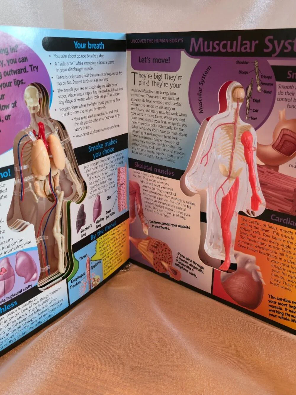 BOOK UNCOVER THE HUMAN BODY 2002 by LUANN COLUMBO